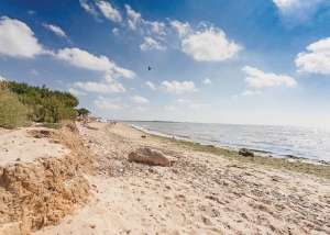Mersea Island Holiday Park: Beaches nearby